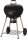 Napoleon Premium Holzkohle Kugelgrill, Ø57cm