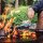 OFYR  Food Bumper 75